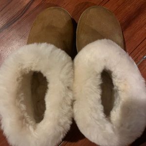 Short cozy ugg boots
